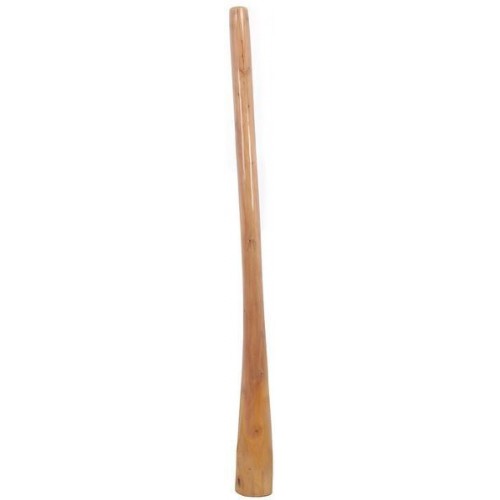 Didgeridoo Eucalyptus 140-150